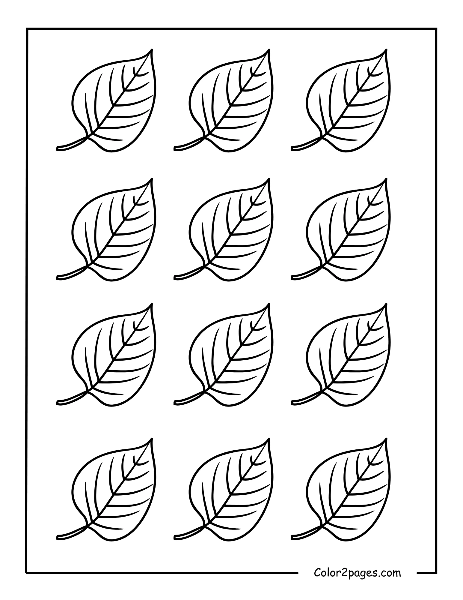 A black and white illustration displaying twelve simple, oval-shaped leaves arranged in a grid, providing a collection of easy leave coloring pages for various creative projects.