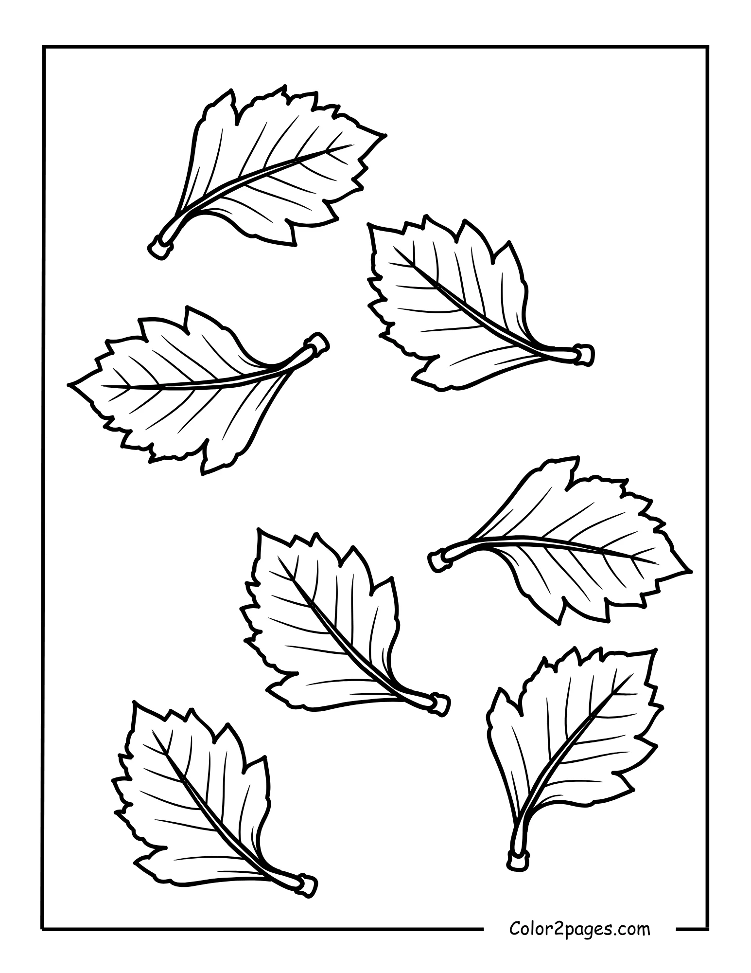 A black and white line art illustration of seven individual oak leaves in various orientations, providing a charming leave coloring page for nature enthusiasts.