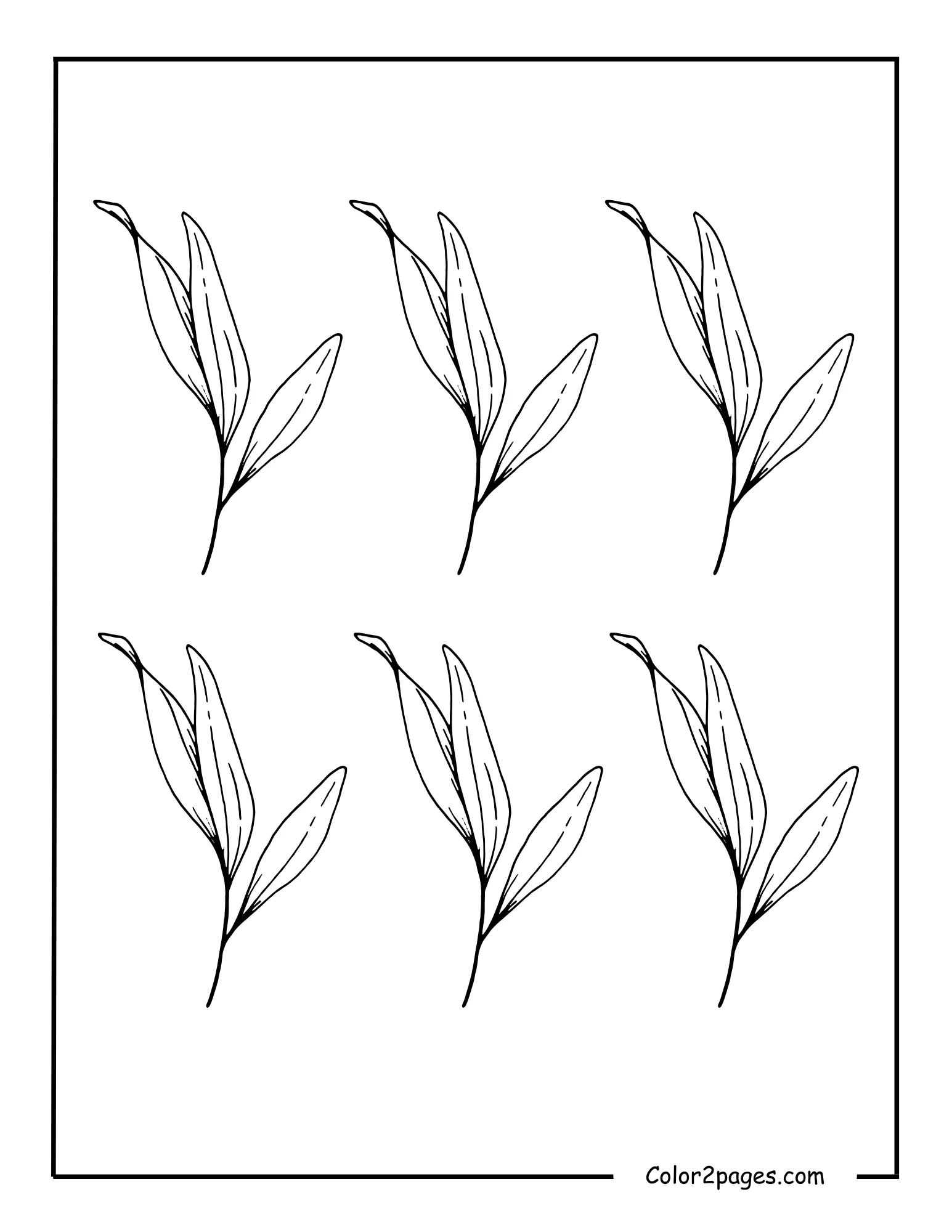 A black and white illustration featuring six delicate sprigs of eucalyptus leaves, presented as an easy leave coloring page for mindful creativity.