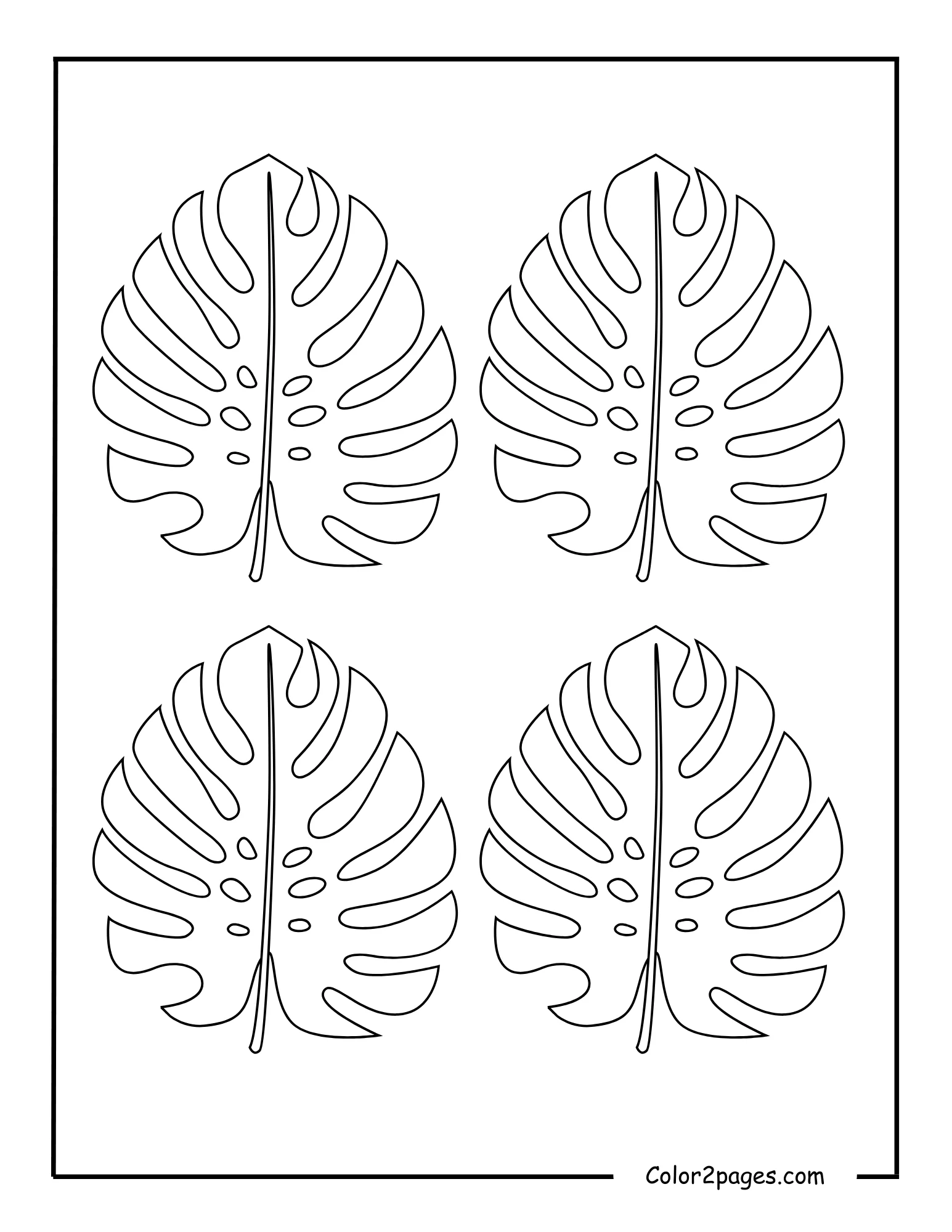A black and white outline illustration featuring four detailed Monstera leaves, perfect as a tropical leave coloring page for artistic enjoyment.