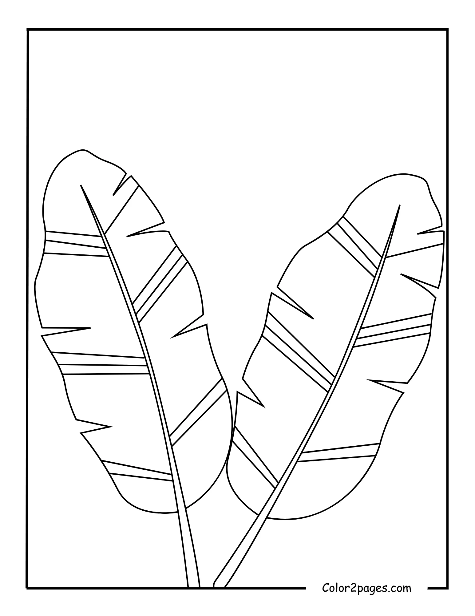 A simple black and white outline illustration of two large, stylized banana leaves, ideal as a tropical leaf coloring page for creative expression.